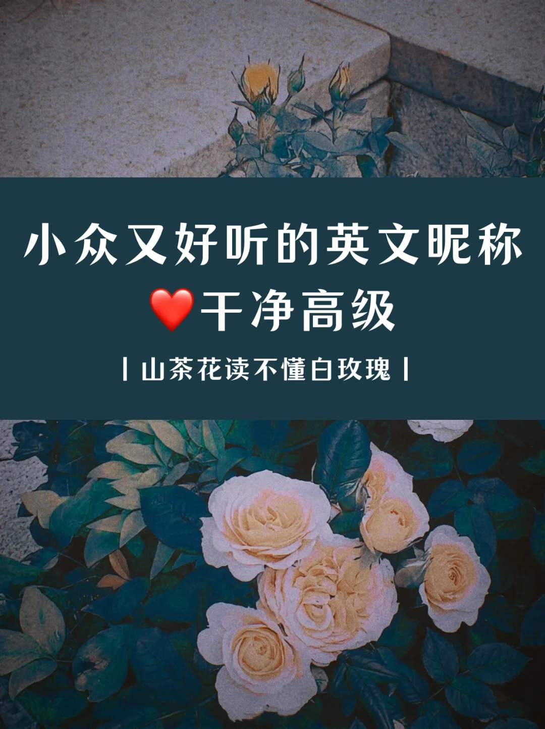 简单好听的英文微博昵称