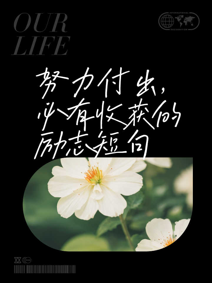 只要努力就收获的句子