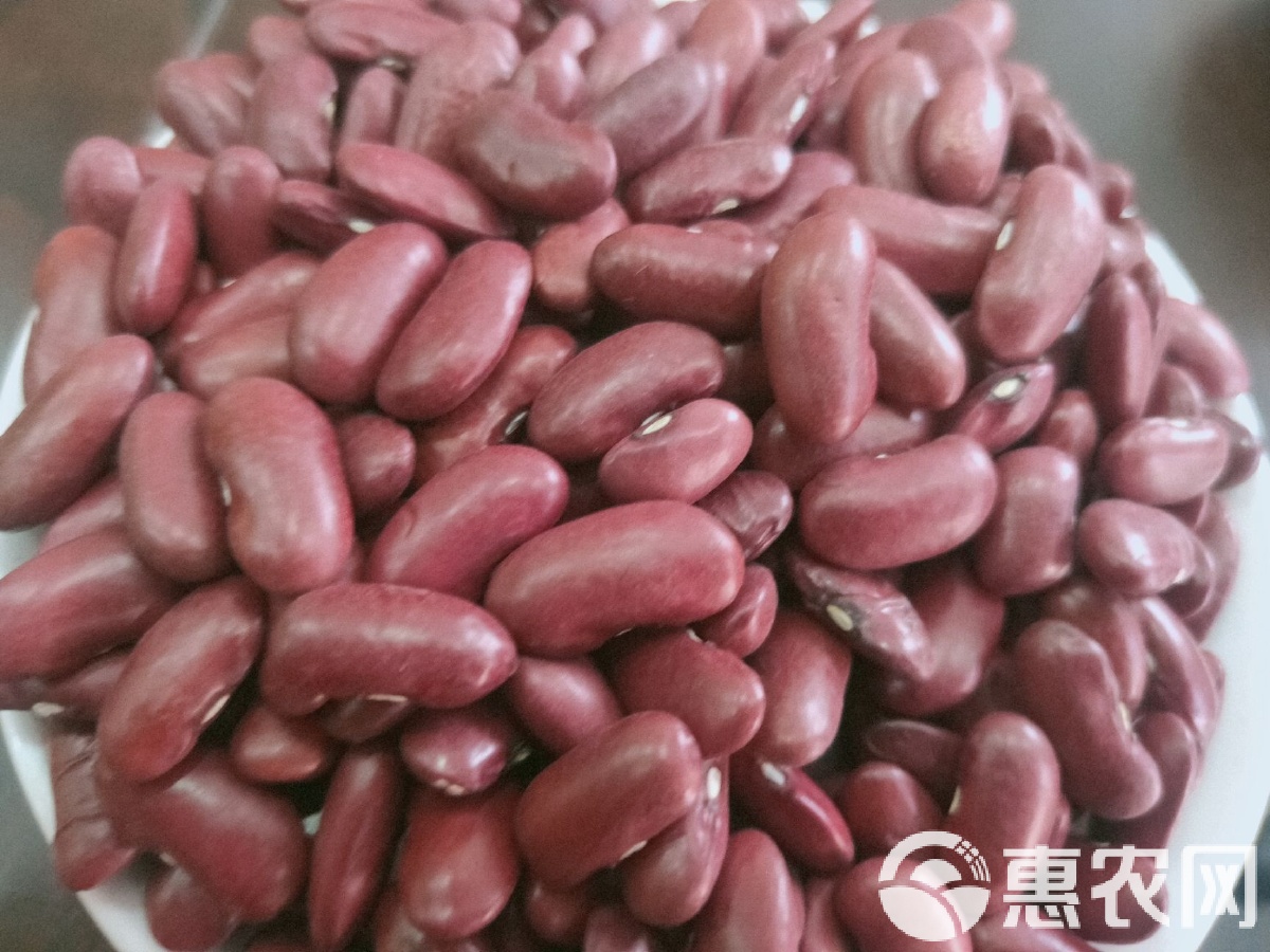 红豆大红豆歌名具体叫什么